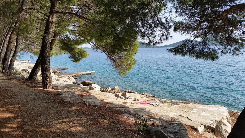 La Mer دراغ المظهر الخارجي الصورة
